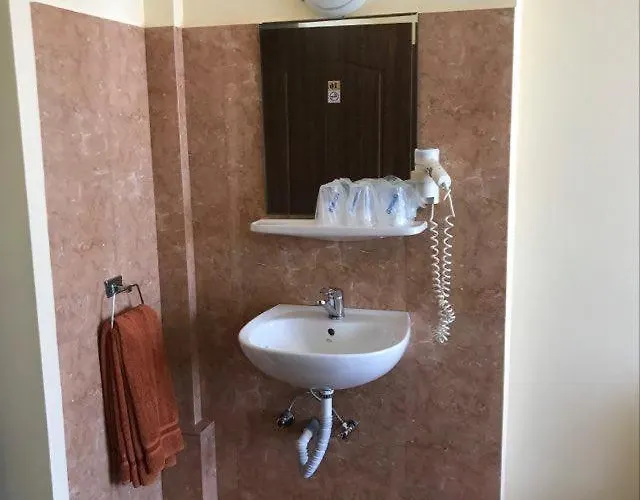 ホテル Lebada エフォリエ・ノルド